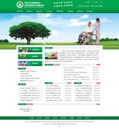 專業企業展示型網站建設，打造北京企業的數字名片